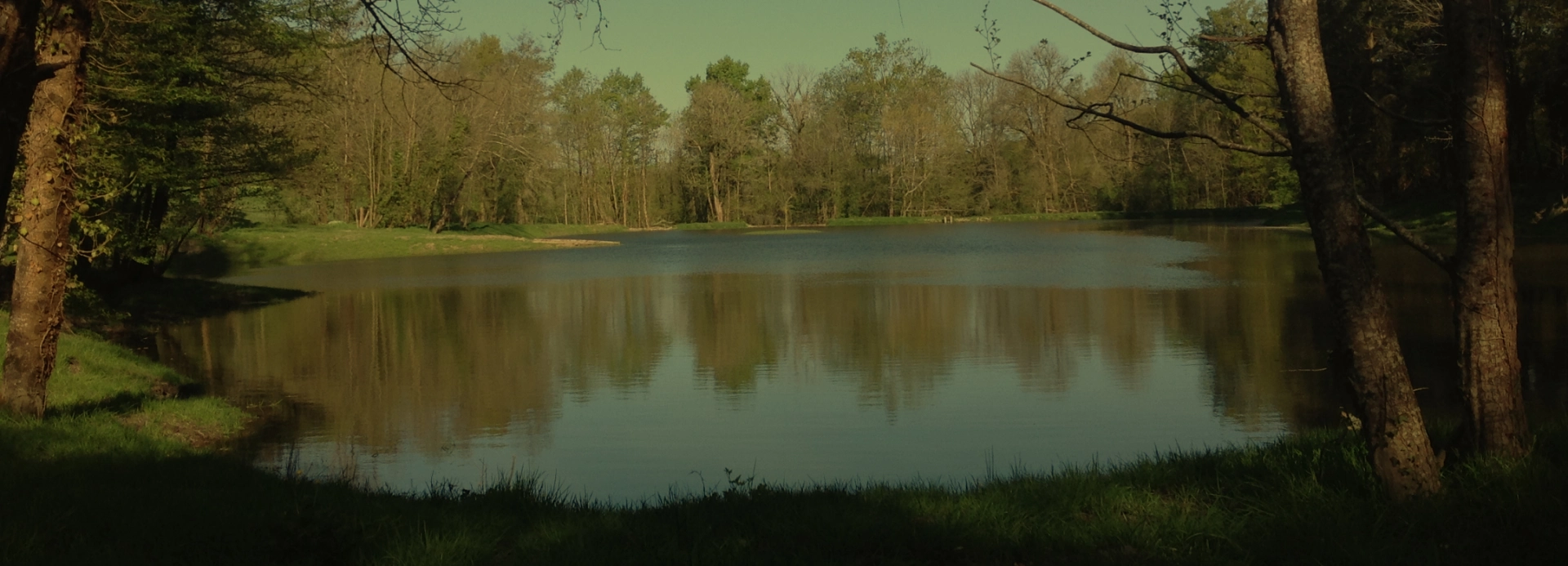 Kingfisher Lake surrounded by mature trees