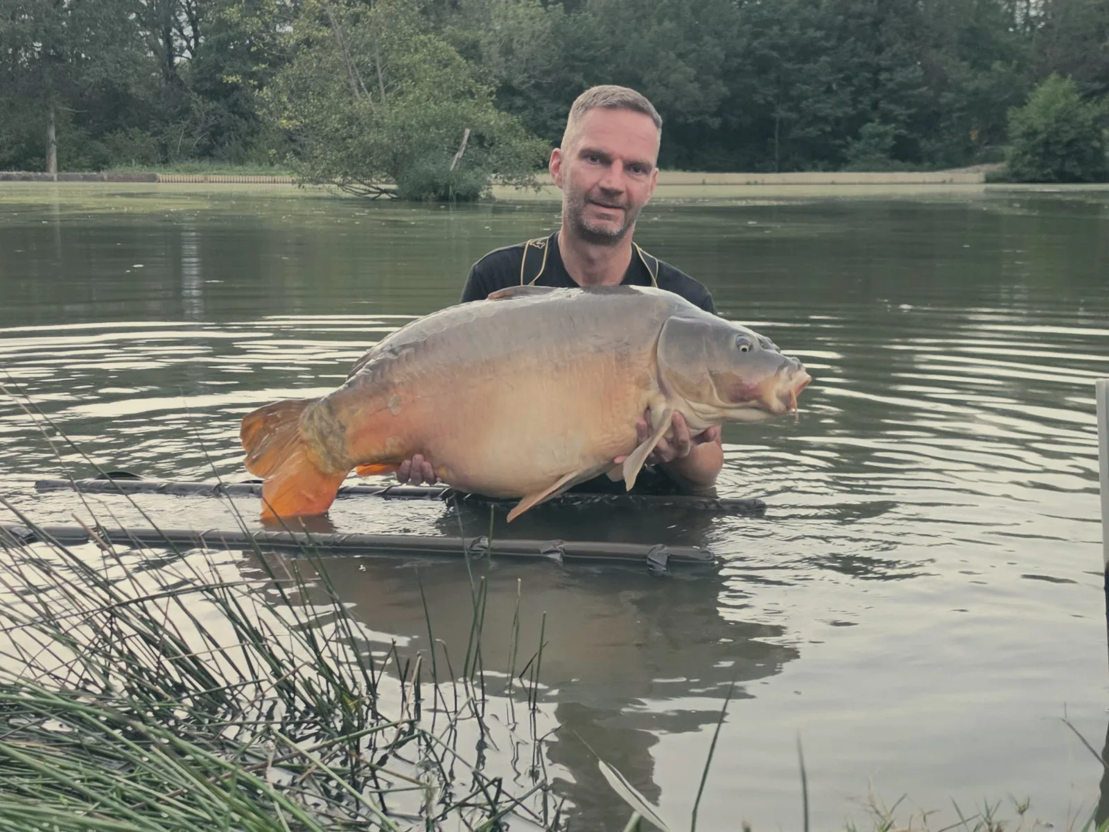 Angler holding a mirror carp at the water's edge